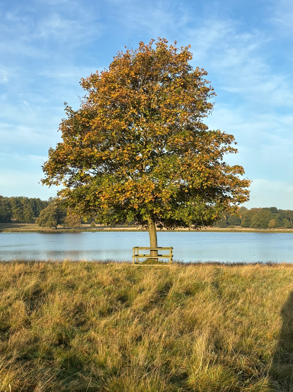 How to be a good ancestor