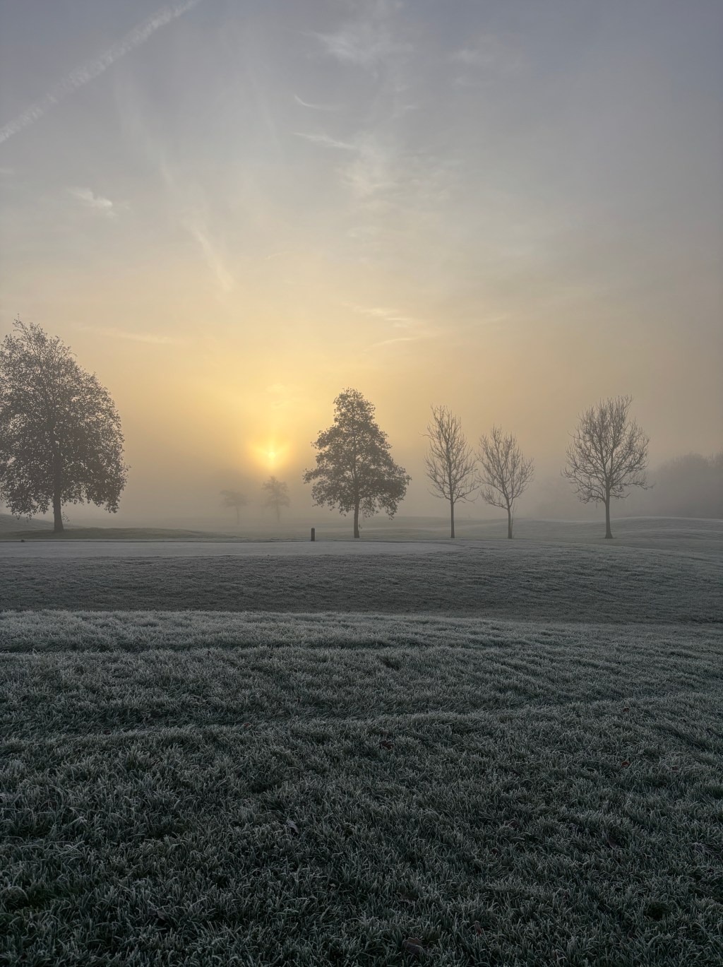 Messy Life, New Mantra