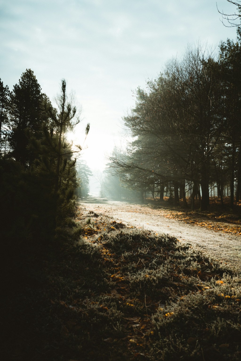 When We Borrow From&nbsp;Tomorrow