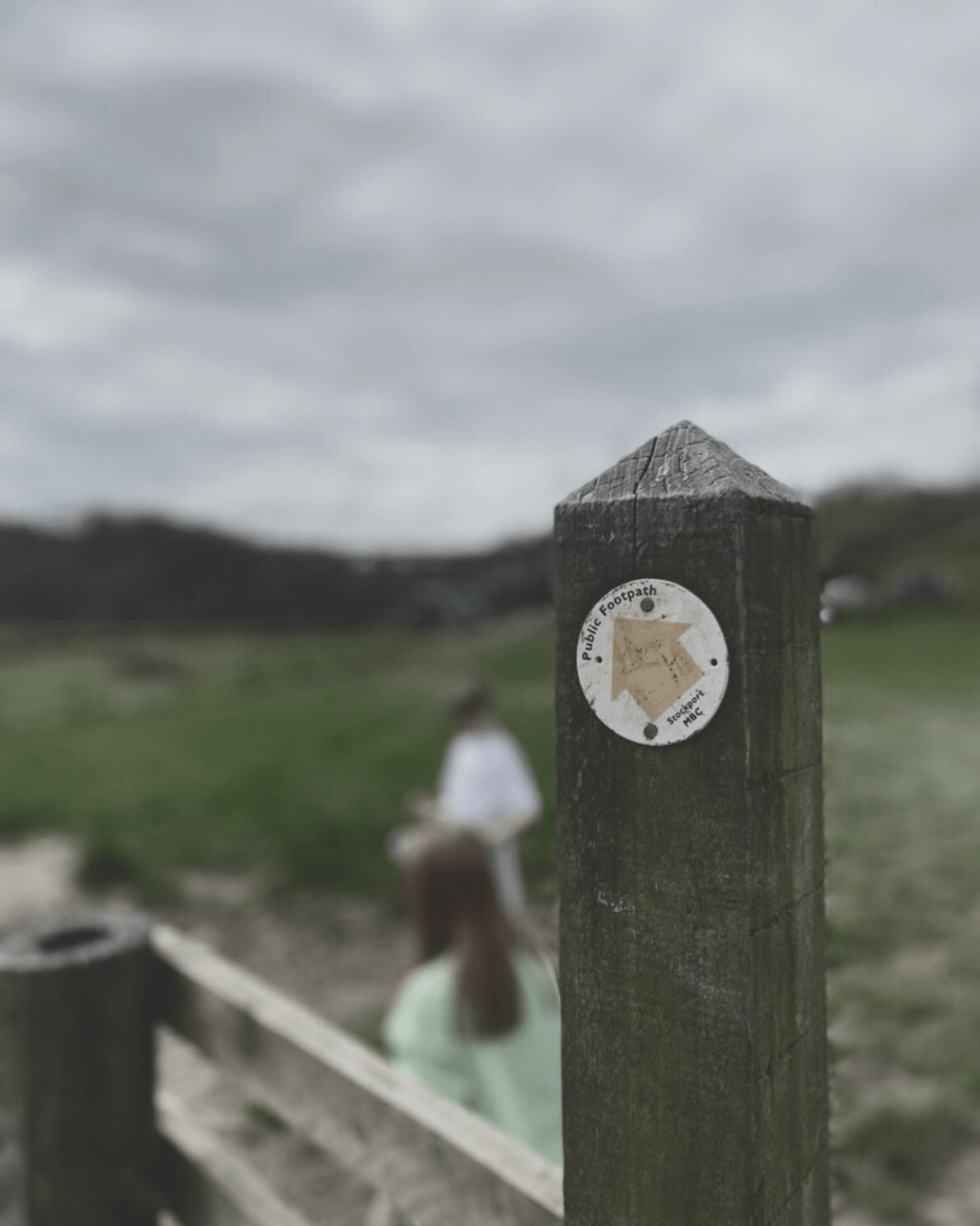 The Woman Who Collects&nbsp;Signs
